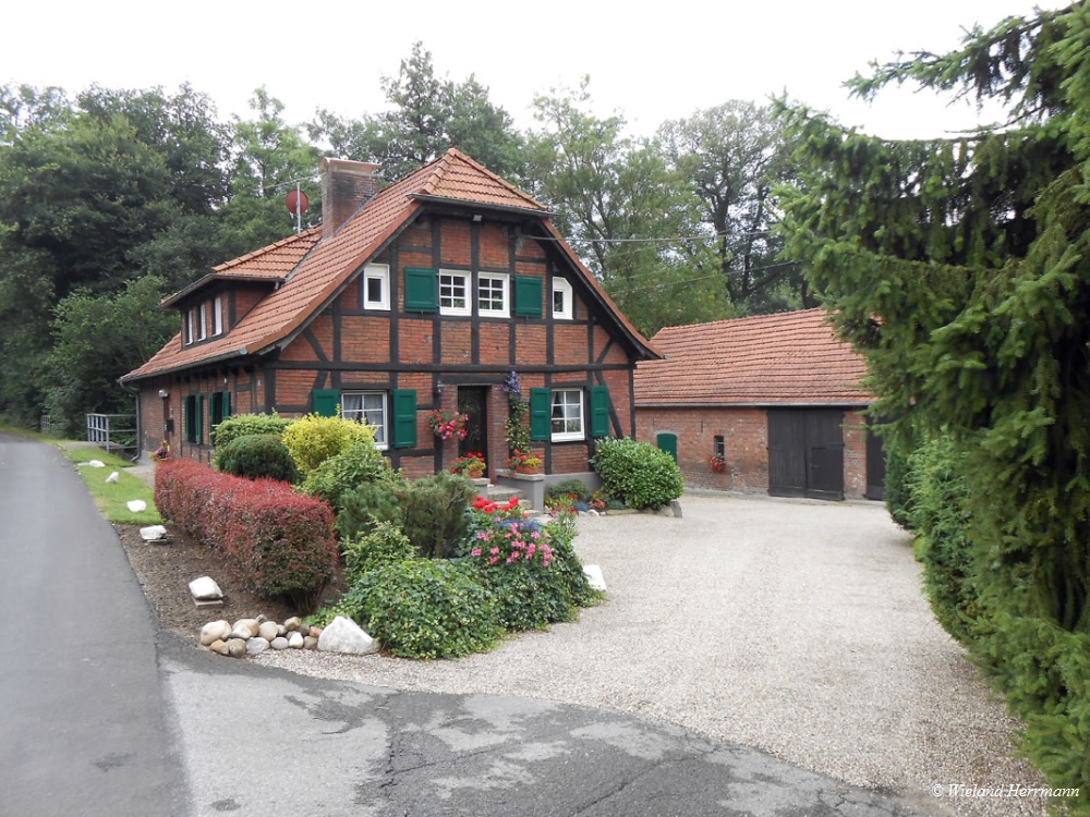 Huenxer Wald_